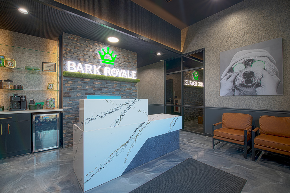 Graphic Design Project Example