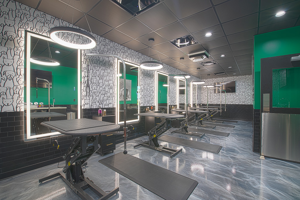 Bark Royale Architecture Project