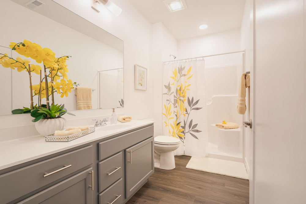 Bend Apartments Architecture Project