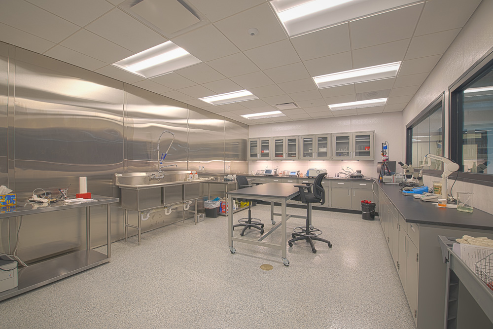 RILCO Headquarters Architect Project